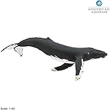Safari (サファリ) MB ザトウクジラ フィギュア モントレーベイ・アクアリウム監修 1/40スケールモデル 210002