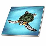 Boehmグラフィックス動物 – Sea Turtle Swimming in the Ocean – タイル 6-Inch-Ceramic ct_127564_2
