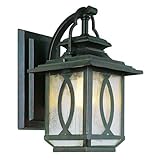 Trans Globe Lighting 5190 BRT 1-Light Coach Lantern, Burnished Rust [並行輸入品]