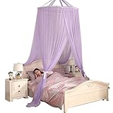 royal-ドームMosquito Net暗号化ThickeningホームダブルベッドExemptインストールからプリンセススタイルパープル Top diameter 110cm