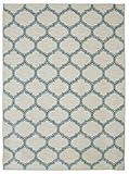 Mohawk Home Soho Glenn Printed Rug 5'x8' Aqua [並行輸入品]