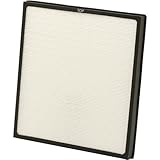 Woodstock International D4492 Replacement Filter for W1746 Filter [並行輸入品]