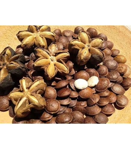 Amazon | サチャインチ（インカナッツ、グリーンナッツ）の種（10粒） | 草