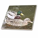 Patricia Sanders写真 – Ducks – タイル 4-Inch-Ceramic ct_24857_1