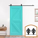 HomeDeco Hardware ドア用金物 引き戸レール 玄関 引き戸 ドア リフォーム インテリア 内装ドア 15 FT (4.60メートル) シングルドア