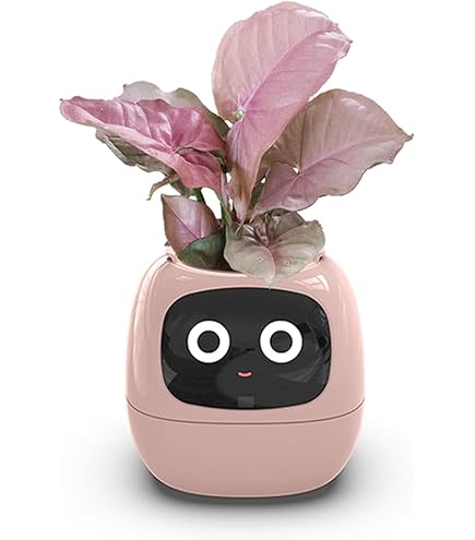 Amazon.co.jp: Ivyスマートプランター スマートケア＆スマートペット