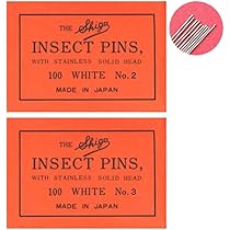 蝶採集用品　三角ケース＋有頭シガ昆虫針No.0.3.4.5＋セルロイド三角型台紙 楽天市場】金属製 志賀昆虫 三角ケース 標本 蝶 トンボ 採集