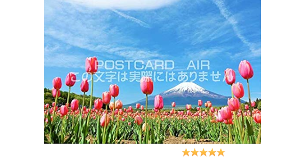 Amazon 日本の風景ポストカード チューリップと富士山のはがきハガキ葉書 撮影 Yoshio Iwasawa グリーティングカード 文房具 オフィス用品