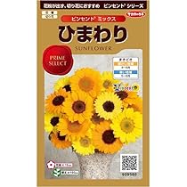 Amazon | Sakata no Seed 9585 Real Blossom Flower Sunflower
