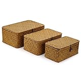 DOKOT Rectangular Handwoven Seagrass Storage Basket with Lid and Home Organizer Bins Set of 3 (Set o