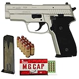 タナカワークス SIG P229 .357 SIG Evolution 2 ALL HW ワーム シルバー モデルガンフルセット