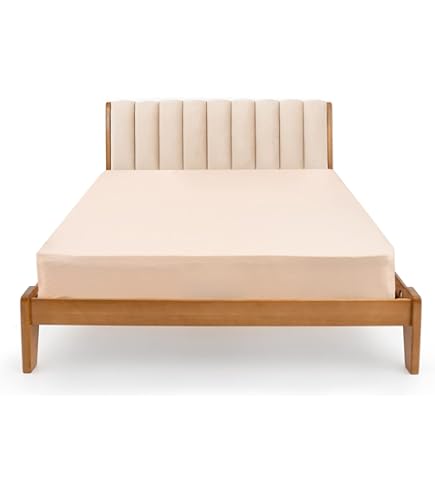 Amazon.co.jp: KADOKAWA あいりすミスティリア! 猫のように甘える