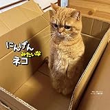 にんげんみたいなネコ (写真集)