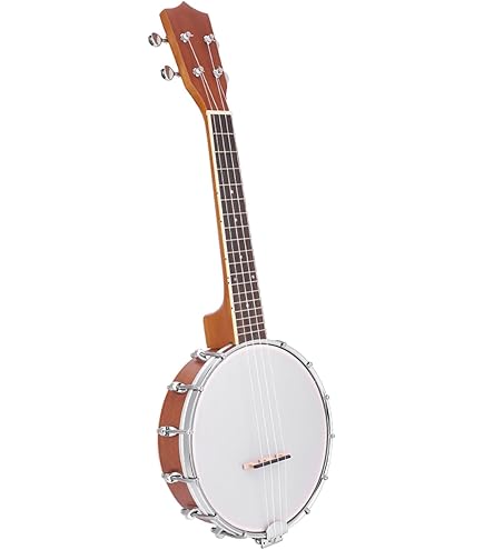 Amazon.co.jp: ARIA アリア ギターバンジョー 6弦タイプ ハードケース