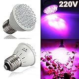 植物育成用LEDランプ EC Technology1.9W LED植物育成ライト 水耕栽培ランプ 室内用 プラントライト 園芸 室内栽培ランプ 二つの波長 [並行輸入品]