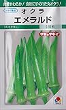 オクラ種子 エメラルド 130粒 タネのタキイ