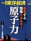 週刊 東洋経済 2011年 6/11号 [雑誌]