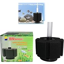 51oZPX72OyL._AC_UL210_SR210,