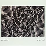 Strange Beast [7 inch Analog]