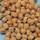 国華園　野菜たね　ヒヨコマメ　プリンスひよこ豆　1袋(30ml入)【※発送が国華園からの場合のみ正規品です】