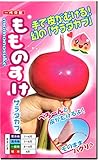 サラダカブ 種子 もものすけ 1ml 約200粒