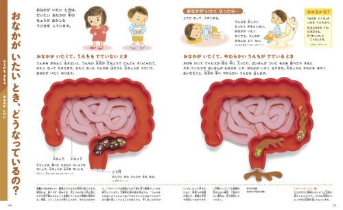 保育士解説 人体絵本 人体図鑑のオススメ 医者を目指す子どもの育て方