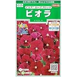 【種子】 ビオラ ピエナ ローズブロッチ サカタのタネ