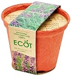 エコットＳ　ラベンダー