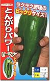 ピーマン 種子 とんがりパワー 20粒