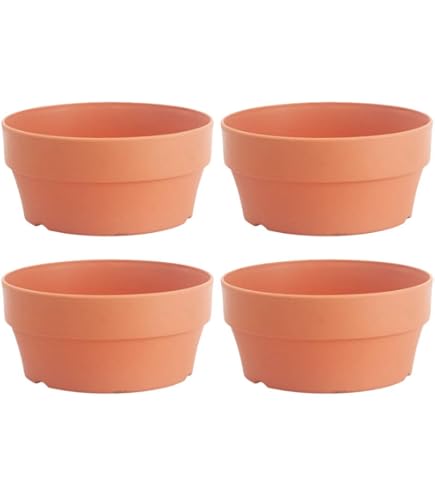 Amazon | 大和プラスチック 長方鉢(盆栽用) 8号 202×145×H60