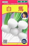 武蔵野種苗園 カブ 白馬 [4ml]