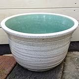 信楽焼:睡蓮鉢(すいれんばち)・はす鉢・めだか鉢【11号・深鉢】* (白カスミ)