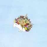 Oopsy Daisy Fine Art for Kids Botanic Hedgehogキャンバス壁アートby Katie Vernon 10 x 10" NB21450