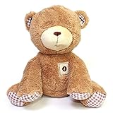 ぬいぐるみ 出産祝い 男の子 女の子 赤ちゃん マミーズ メロディーズ ベアー【06530】