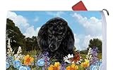 プードルブラック – Best of Breed Dog Breedメールボックスカバー