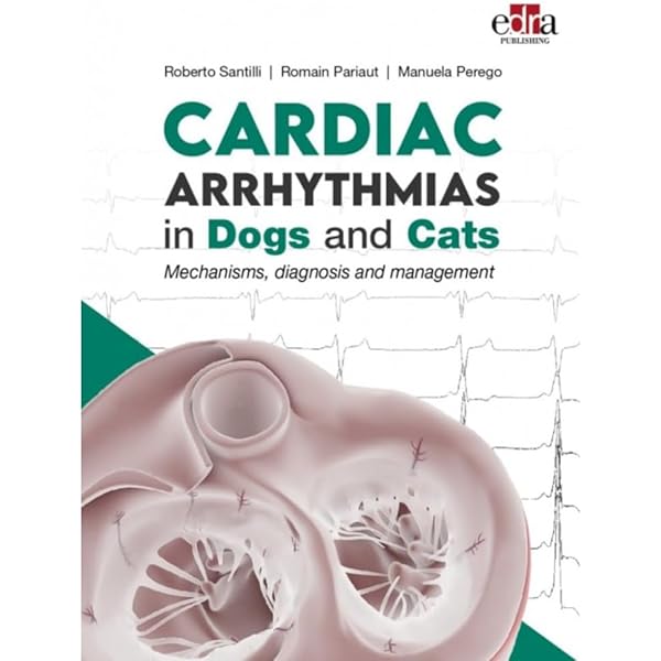 Amazon | Veterinary Image-Guided Interventions | Weisse, Chick