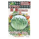 お買得セット スプラウトタネ 豆苗(とうみょう) KS100-753 カネコ種苗 2袋入 家庭菜園