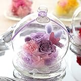 BunBunBee プリザーブドローズドーム「イマージュ・バイオレット」