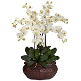 ほぼ自然1201-cr Large胡蝶蘭シルクFlower Arrangement、クリームbyほぼ自然