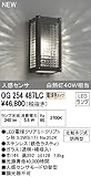 オーデリック エクステリアライト ポーチライト 【OG 254 487LC】OG254487LC