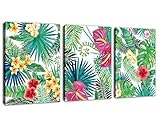 (30cm x 41cm 3P, Tropical Leaves) - Canvas Wall Art Tropical Leaves Contemporary Pictures 3 Pieces 3