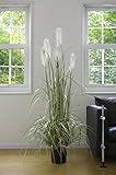 萩原 アーティフィシャルフラワー リードグラス L [高さ:約153cm]
