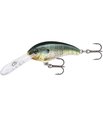 Amazon.co.jp: Rapala Ultra Lite Kit Fishing Lures with Collectable