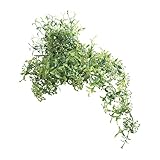 COVENT GARDEN グリーンブッシュ LD-15