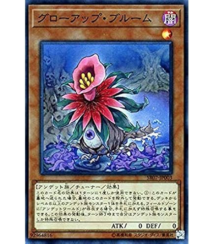 Amazon.co.jp: 遊戯王 SR07-JP029 おろかな埋葬 (日本語版 ノーマル