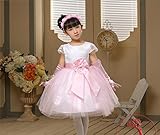 プリンセスドレス、  子供プリンセスドレス、糸子供服、ベビードレス、女の子の衣装のイブニングドレス、チュチュ (2#95cm)