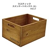 ラスティック スタンダードボックス Sサイズ H517
