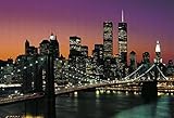 ニューヨークポスター写真壁紙 – Manhattan 8-parts ( 145 x 100インチ)