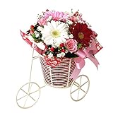 翌日配達お花屋さん キュート＆スィート！かわいい人へのプレゼントにぴったり！メロディ（季節の花ガーベラアレンジメント）