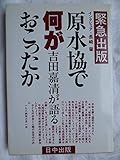 原水協で何がおこったか―吉田嘉清が語る